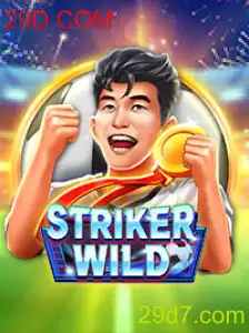 StrikerWILD: Aventuras no Universo 29D.COM